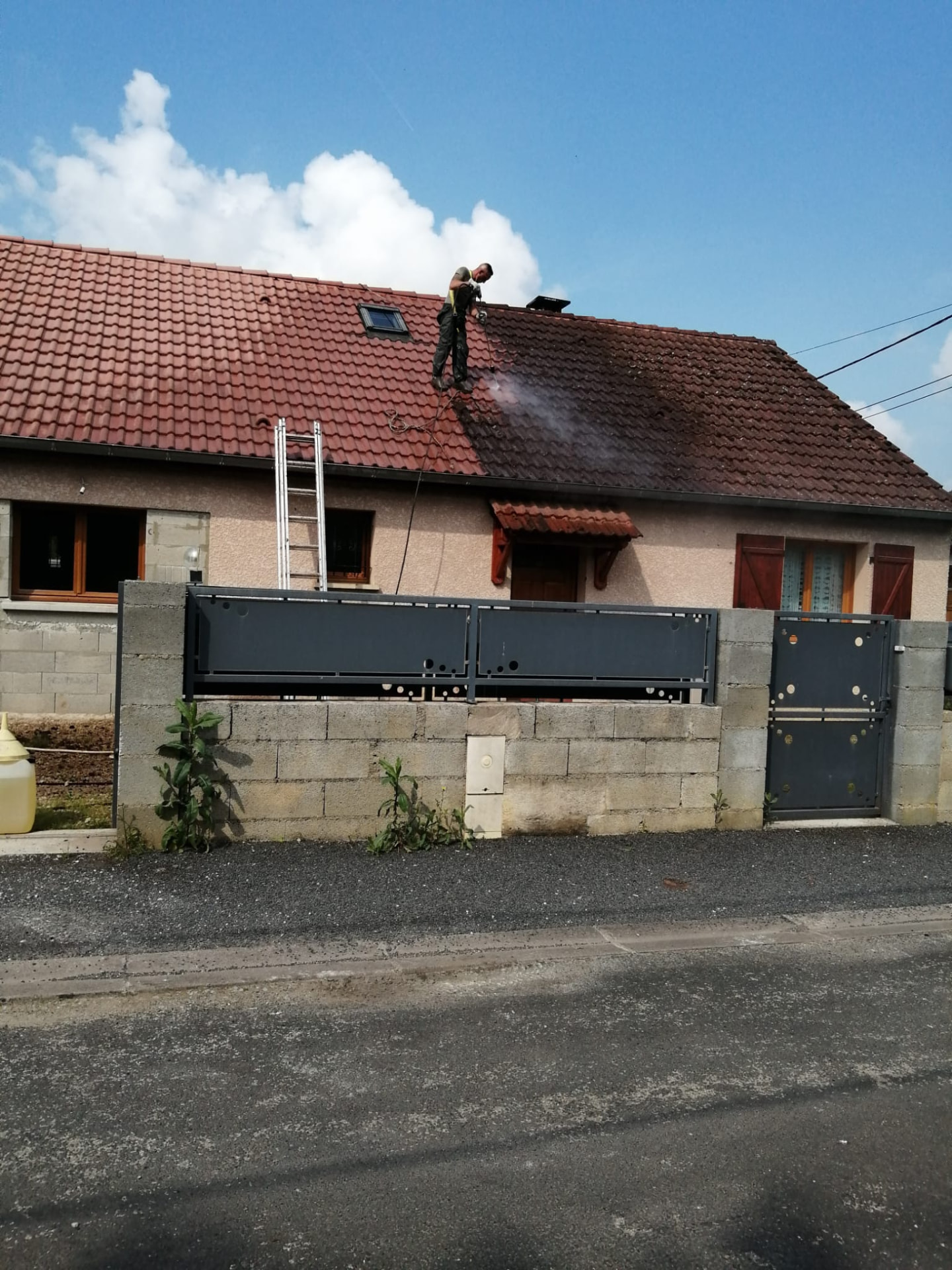 Toiture couverte de mousses avant démoussage en Haute-Marne